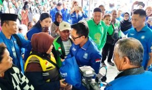 photo_6336761149449243686_y