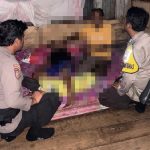 photo_6339012949262928743_y