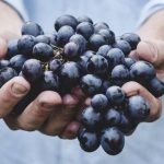 cb1fc0c2-1eb1-4731-b092-0ea9e7556d63_169