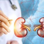 ilustrasi-ginjal-dok-ilustrasithinkstock_169