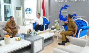 photo_6071113406397222095_y