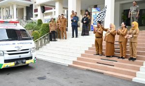 photo_6073365206210907531_y