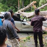 photo_6075388363440589841_y