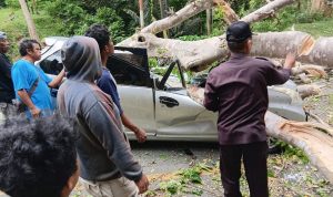 photo_6075388363440589841_y