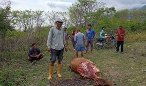 photo_6077640163254274843_y