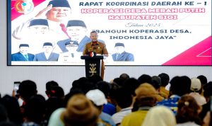 photo_6077640163254274844_y