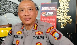 photo_6082345768078478474_y