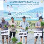 photo_6107391375943863434_y