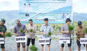 photo_6107391375943863434_y