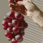 202412061338-main.cropped_1733467104