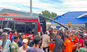 photo_6167830147143240567_y(1)