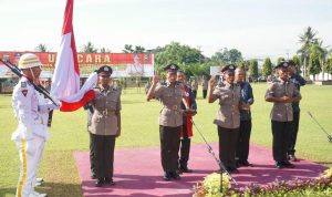 photo_6221883882521431171_y(1)