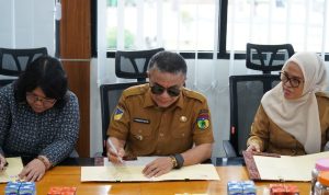 photo_6239909722823789615_y