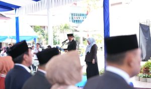 photo_6244372713535376271_y