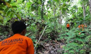 photo_6253319705938562964_y