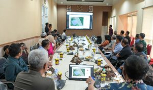 photo_6273925434311381302_y