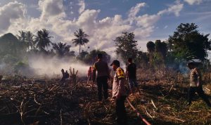 photo_6309781831343083706_y(1)