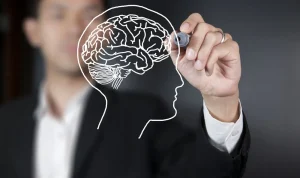 shutterstock_91463864