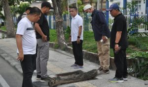 photo_6197283881807974220_y