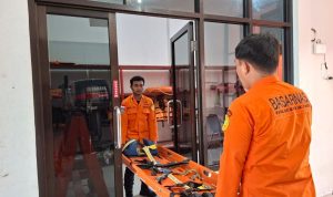 photo_6201839115532176975_y