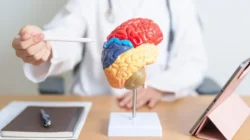 Ini Delapan Makanan untuk Cegah Stroke Sejak Dini