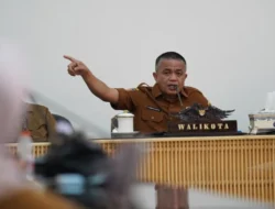 Program Palu Mantap Pangan Fokus Pada Pengembangan Lima Komoditas Unggulan