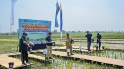 Pupuk Kaltim Perkuat Pendampingan Agrosolution Lewat Pemupukan Padi di Pojokrejo Jombang