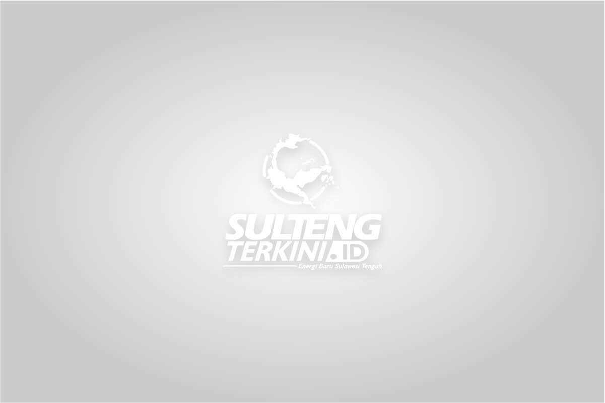 Ketua Ombudsman Sulteng: Transparansi dan Netralitas Penyelenggara Pilkada itu Penting